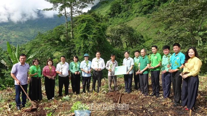 Đoàn công tác Hội Nông dân thành phố Hà Nội hỗ trợ cây giống cà phê cho hội viên nông dân tại bản Pờ Ngài, xã Phong Thổ.
