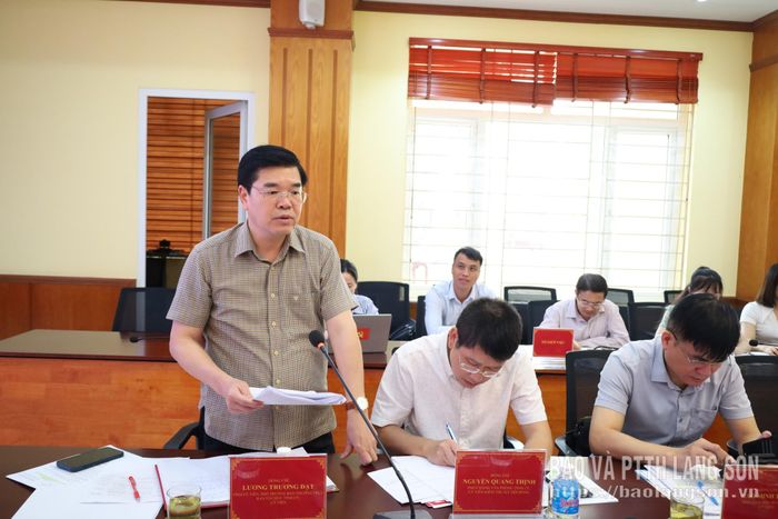 Phó Trưởng Ban Thường trực Ban Tổ chức Tỉnh ủy, Ủy viên Hội đồng đánh giá phát biểu tại cuộc họp