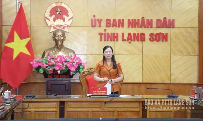Đồng chí Trần Thanh Nhàn, Phó Chủ tịch UBND tỉnh phát biểu chỉ đạo tại cuộc họp