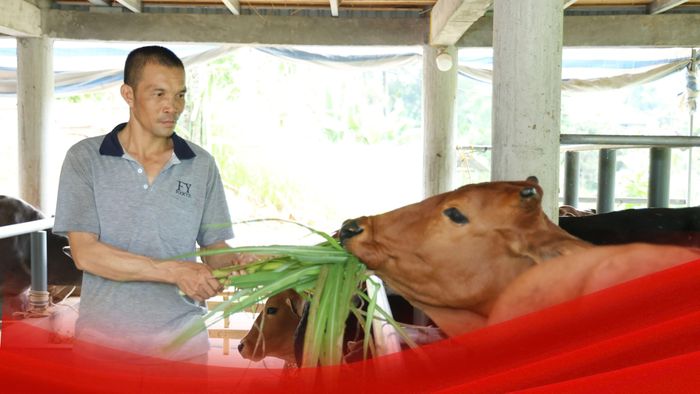 Người dân xã Việt Hồng tích cực lao động, sản xuất, phát triển kinh tế, viết tiếp câu chuyện trên quê hương cách mạng năm xưa.