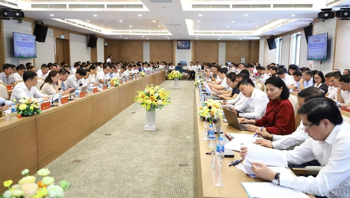Các đại biểu tham dự hội nghị.