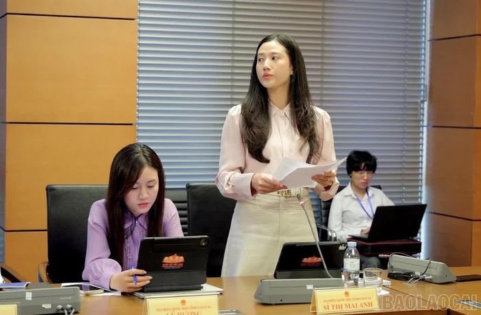 Đại biểu Sí Thị Mai Anh tham gia thảo luận về chủ trương đầu tư Chương trình mục tiêu quốc gia phát triển văn hóa - xã hội, nông thôn, dân tộc và miền núi giai đoạn 2026 - 2035.