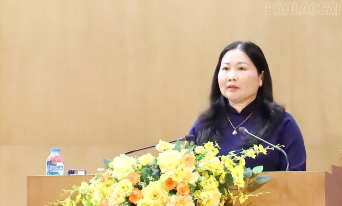 Đồng chí Vũ Thị Hiền Hạnh - Phó Chủ tịch UBND tỉnh phát biểu tại hội nghị.