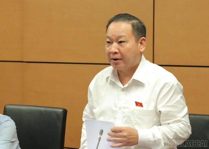 Đại biểu Tráng A Dương tham gia ý kiến đối với định hướng sửa đổi Luật Kinh doanh bất động sản.