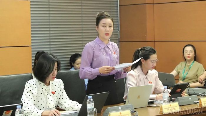 Đại biểu Lý Hương tham gia góp ý đối với định hướng sửa đổi Luật Đất đai.
