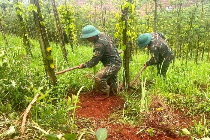 Cán bộ, chiến sĩ Trung đoàn 994A hỗ trợ cây giống cùng người dân chăm sóc, cải tạo vườn cây, từng bước nâng cao hiệu quả sản xuất
