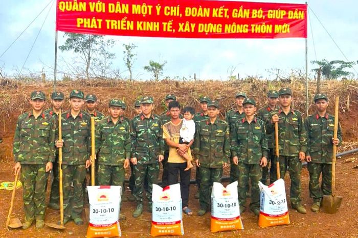 Hỗ trợ phân bón, cây giống và ngày công, góp phần giúp người dân cải tạo đất, nâng cao hiệu quả sản xuất