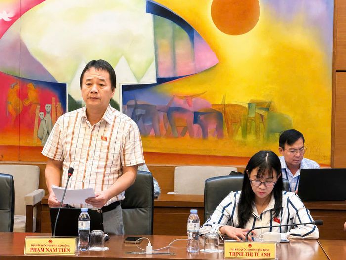 Đại biểu Phạm Nam Tiến, Đoàn ĐBQH tỉnh Lâm Đồng phát biểu