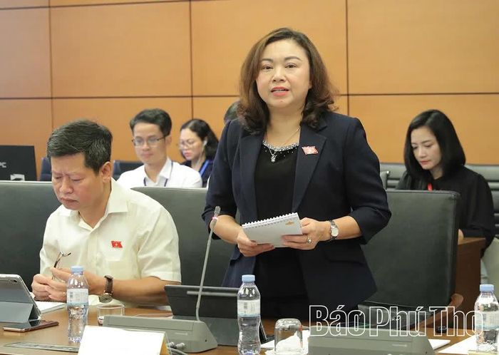 Đại biểu Quốc hội tỉnh Phú Thọ Đặng Bích Ngọc thảo luận ở tổ.
