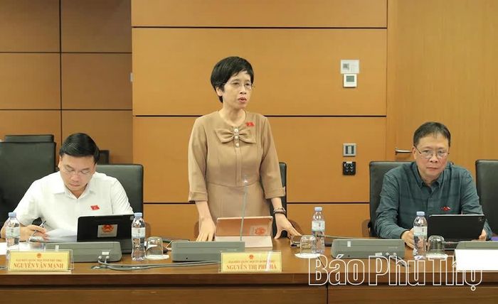Đại biểu Quốc hội tỉnh Phú Thọ Nguyễn Thị Phú Hà thảo luận ở tổ.