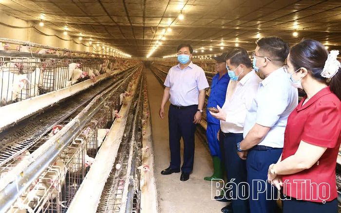 Chủ tịch UBND tỉnh Trần Duy Đông và các thành viên đoàn công tác thăm trang trại chăn nuôi gà đẻ trứng của gia đình bà Bùi Thị Hằng tại xã Hội Thịnh.