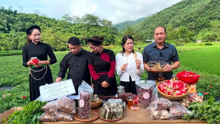 Lãnh đạo xã Kiên Đài cùng các quản trị viên nhóm “Chợ vùng cao Kiên Đài” tham gia livestream giới thiệu, quảng bá nông sản địa phương.