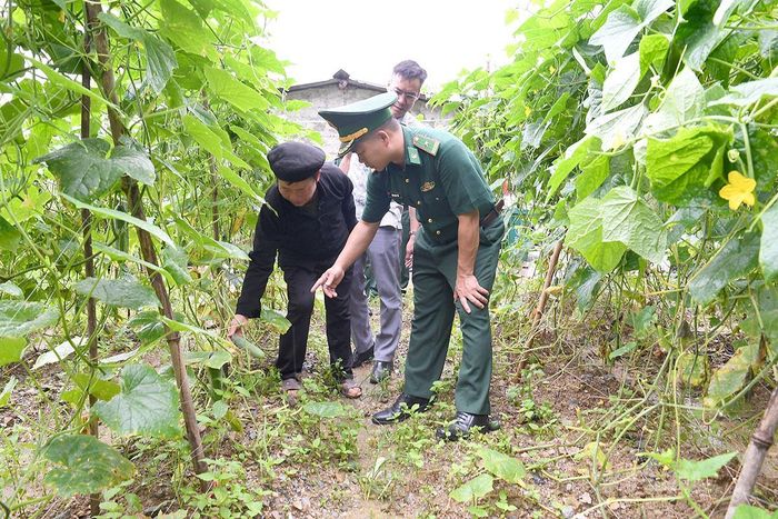 Cán bộ Đồn Biên phòng xã Nghĩa Thuận và cán bộ xã Nghĩa Thuận thăm mô hình chuyển đổi cây trồng hiệu quả của gia đình ông Sùng Sìn Cao, thôn Na Cho Cai.