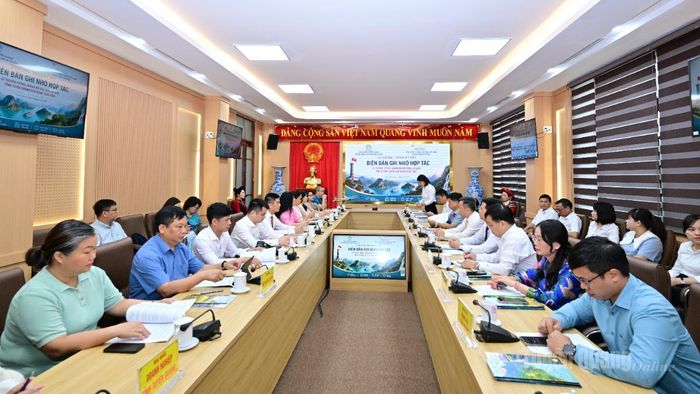 Các đại biểu dự chương trình làm việc.