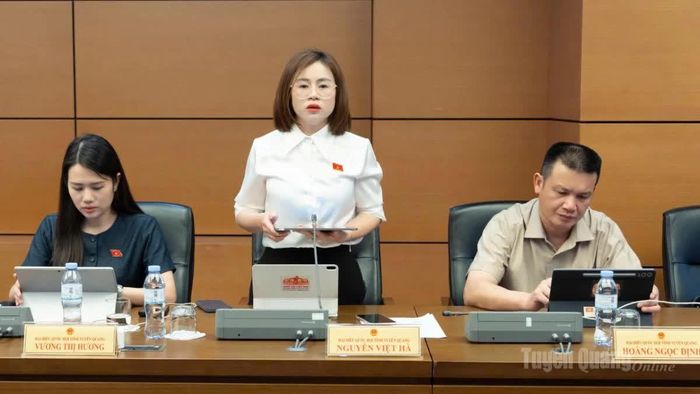 Đại biểu Nguyễn Việt Hà thảo luận tại tổ.
