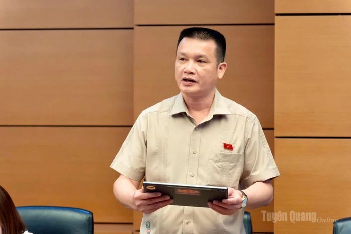 Đại biểu Hoàng Ngọc Định tham gia thảo luận.