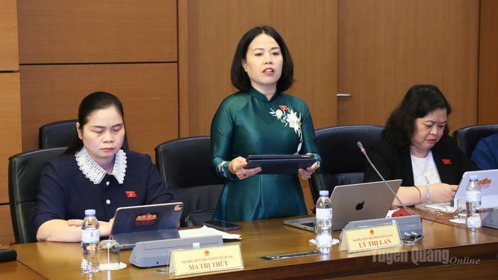 Đại biểu Lý Thị Lan phát biểu ý kiến thảo luận tại tổ.