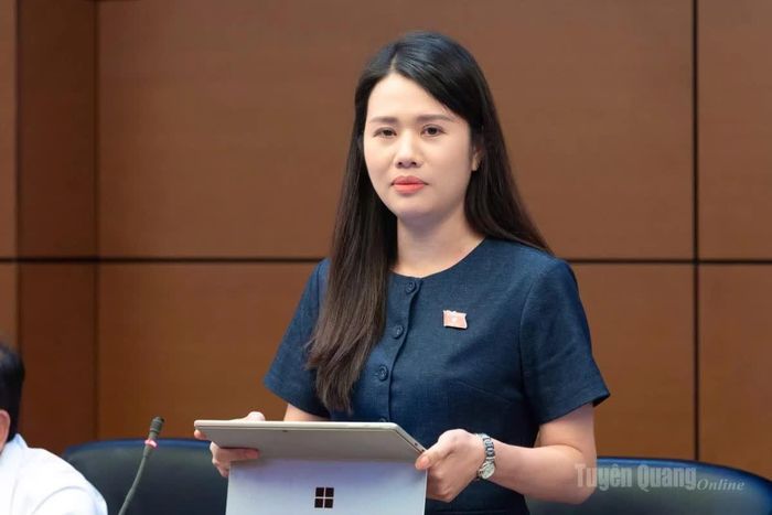 Đại biểu Vương Thị Hương tham gia ý kiến.