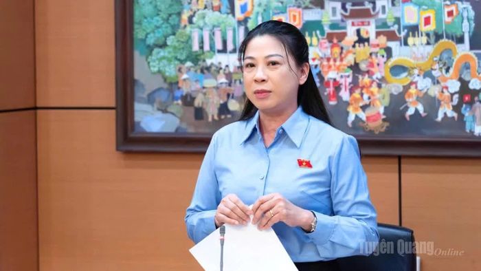 Đồng chí Lê Thị Kim Dung, Phó Bí thư Thường trực Tỉnh ủy, Trưởng đoàn ĐBQH tỉnh Tuyên Quang khóa XVI phát biểu kết luận thảo luận tại Tổ.