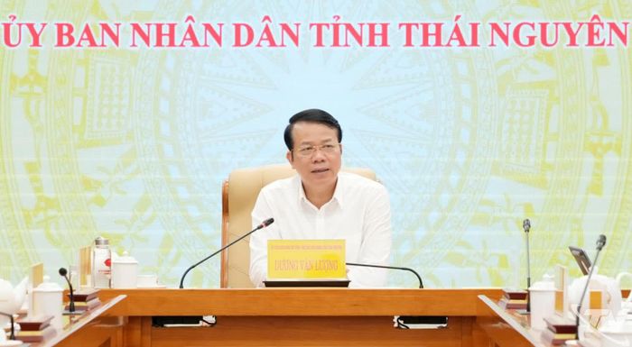 Đồng chí Phó Chủ tịch UBND tỉnh Dương Văn Lượng phát biểu kết luận cuộc họp.