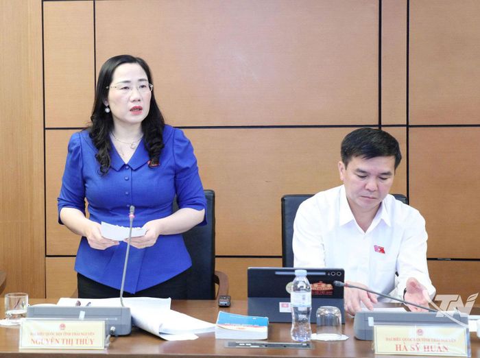 Đại biểu Nguyễn Thị Thủy (Đoàn ĐBQH tỉnh Thái Nguyên) thảo luận tại Tổ.