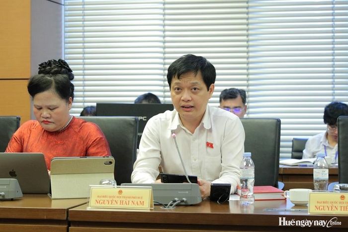 Đại biểu Nguyễn Hải Nam tham gia thảo luận. Ảnh: Đoàn ĐBQH thành phố cung cấp 