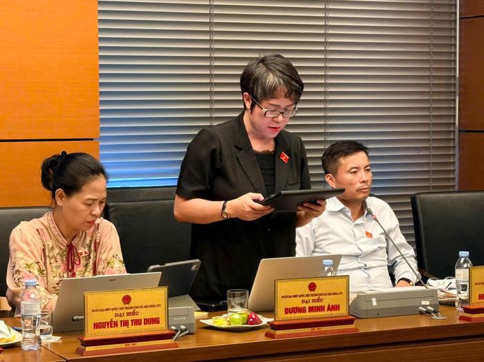 Đại biểu Dương Minh Ánh. Ảnh: Media Quốc hội.
