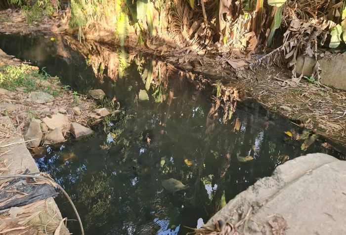 Qua kiểm tra thực tế, địa phương ghi nhận phản ánh về mùi hôi xuất hiện từ buổi chiều đến sáng hôm sau, rõ hơn trong những đợt nắng nóng kéo dài.