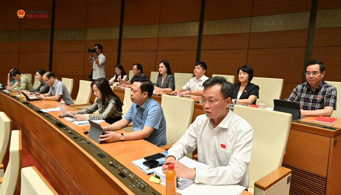 Các đại biểu dự phiên họp. Ảnh: Quang Khánh