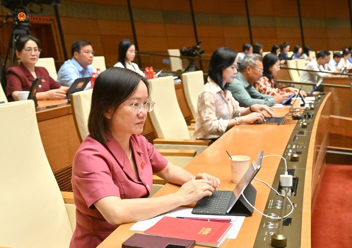 Các đại biểu dự phiên họp. Ảnh: Quang Khánh