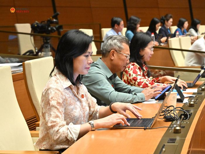 Các đại biểu dự phiên họp. Ảnh: Quang Khánh