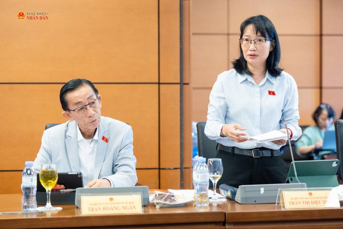 ĐBQH Trần Thị Diệu Thúy (TP. Hồ Chí Minh) phát biểu
