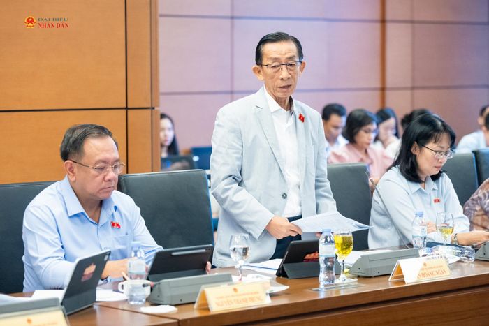 ĐBQH Trần Hoàng Ngân (TP. Hồ Chí Minh) phát biểu