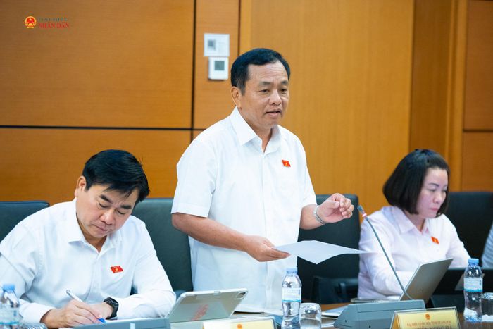 ĐBQH Nguyễn Ngọc Hà (Quảng Trị) phát biểu