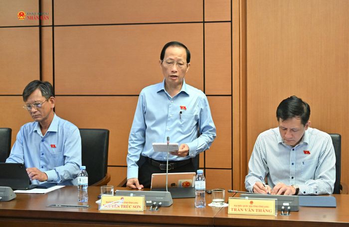 ĐBQH Nguyễn Trúc Sơn (Vĩnh Long) phát biểu tại tổ