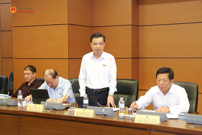 ĐBQH Bế Thanh Tịnh (Cao Bằng) phát biểu. Ảnh: Đắc Trường