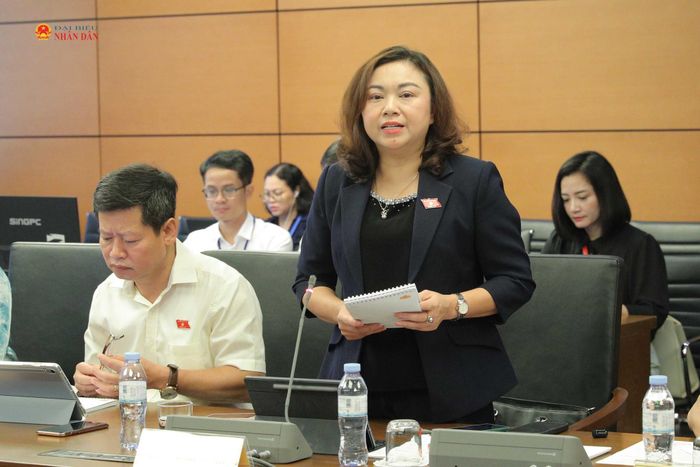 ĐBQH Đặng Bích Ngọc (Phú Thọ) phát biểu