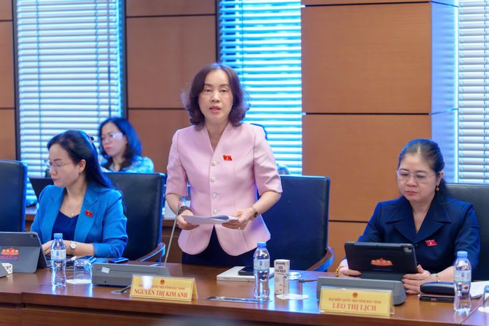 ĐBQH Nguyễn Thị Kim Anh (Bắc Ninh) phát biểu tại phiên thảo luận tổ sáng 19/8. Ảnh: H.Nga