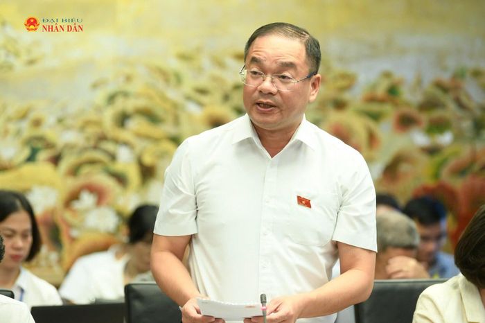 ĐBQH Nguyễn Ngọc Việt (Hà Nội) phát biểu thảo luận tại Tổ 1. Ảnh: Quang Khánh