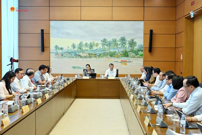 Quang cảnh thảo luận Tổ 11, sáng 19/8