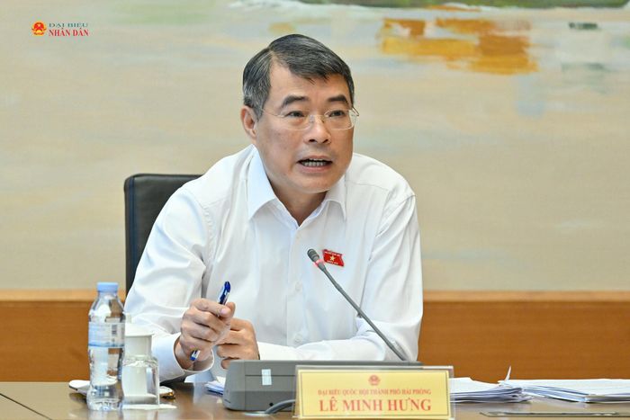 Thủ tướng Chính phủ Lê Minh Hưng phát biểu