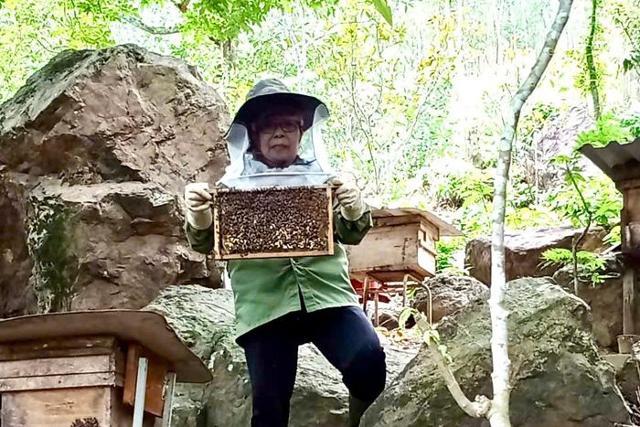 Bà Trương Thị Hiển thu hoạch mật ong. Ảnh: NVCC