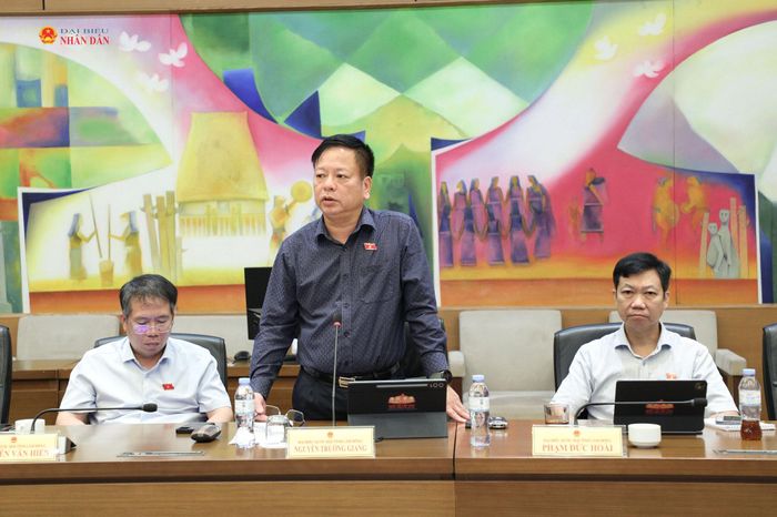 ĐBQH Nguyễn Trường Giang (Lâm Đồng) phát biểu