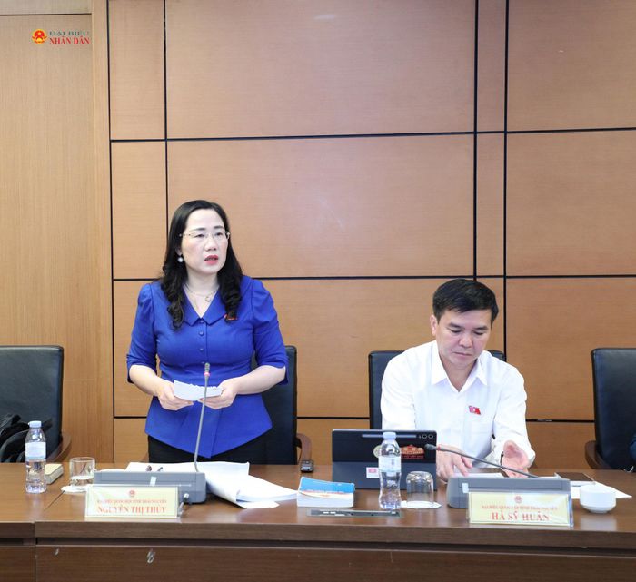 ĐBQH Nguyễn Thị Thủy (Thái Nguyên) phát biểu