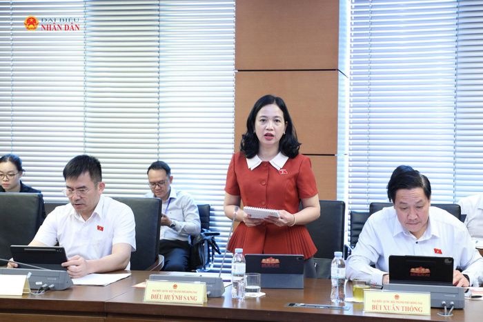 ĐBQH Điểu Huỳnh Sang (Đồng Nai) phát biểu