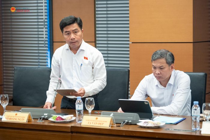 ĐBQH Võ Hoàng Ngân (TP. Hồ Chí Minh) phát biểu