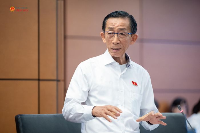 ĐBQH Trần Hoàng Ngân (TP. Hồ Chí Minh) phát biểu