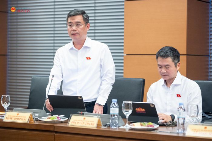 ĐBQH Nguyễn Thanh Tùng (TP. Hồ Chí Minh) phát biểu