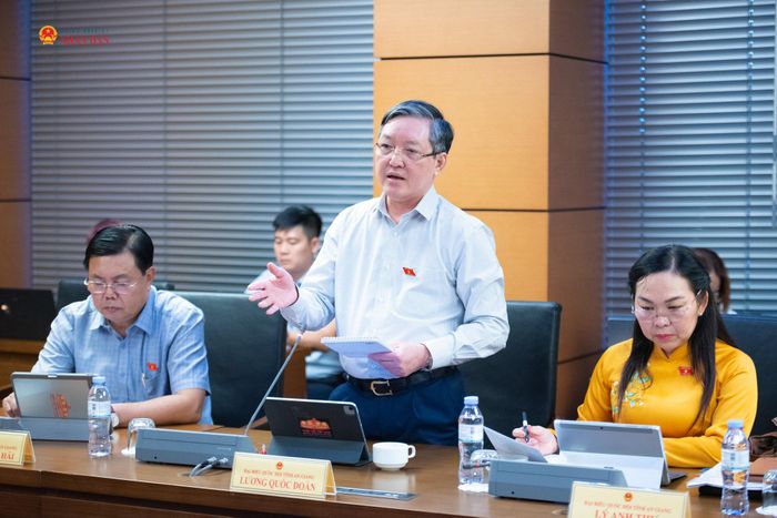 ĐBQH Lương Quốc Đoàn (An Giang) phát biểu