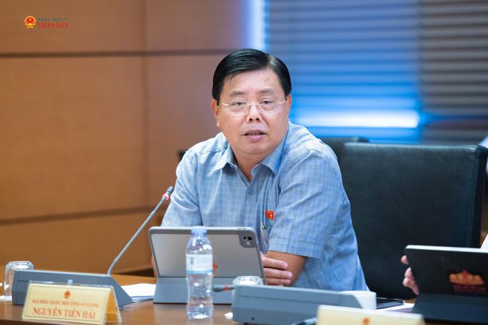 ĐBQH Nguyễn Tiến Hải (An Giang) phát biểu